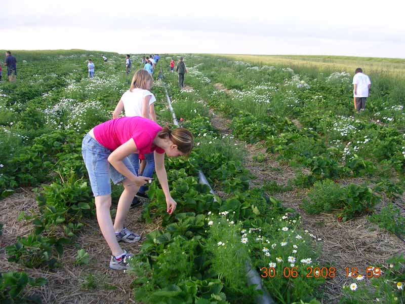 Karlstein2008-041